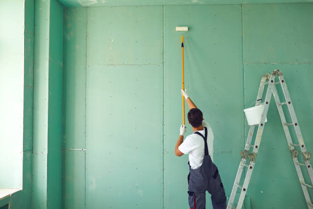 Best Post-Construction Mold Inspection  in Duluth, WA
