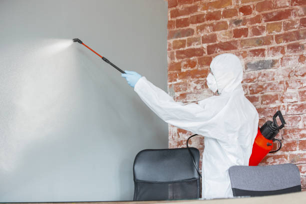 Best Mold Prevention Services  in Duluth, WA