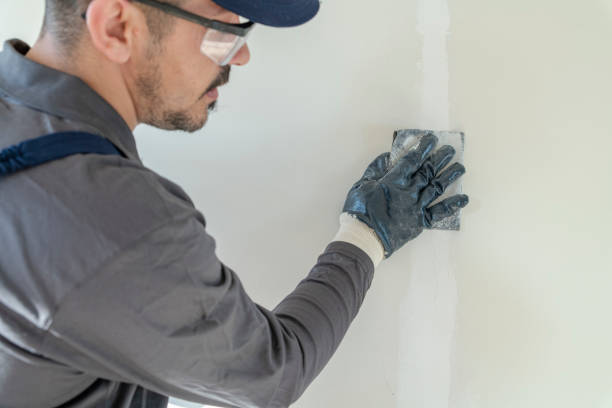 Best Post-Remediation Verification Testing  in Duluth, WA