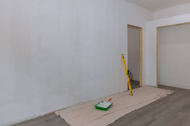 Best Mold Removal for HVAC Installations  in Duluth, WA