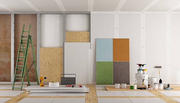 Best Attic Mold Removal  in Duluth, WA