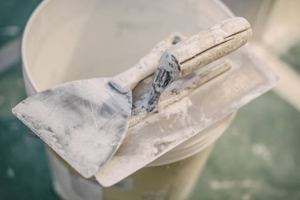Best Mold Remediation for Healthcare Facilities  in Duluth, WA