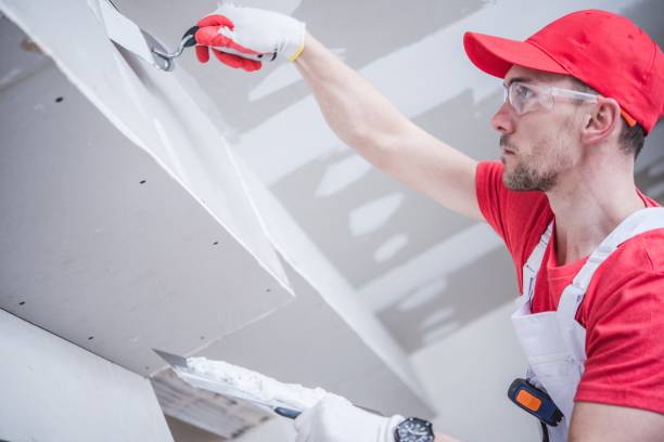 Environmental Consulting for Mold Prevention in Duluth, WA