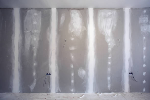 Best Industrial Mold Remediation  in Duluth, WA